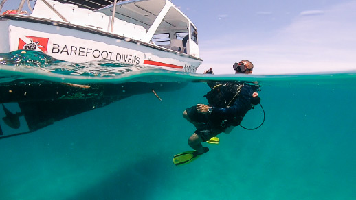 Barefoot Cay professional career in diving